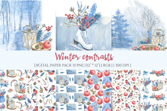 Discover the Charm of Winter Birds and Their Vibrant Surroundings