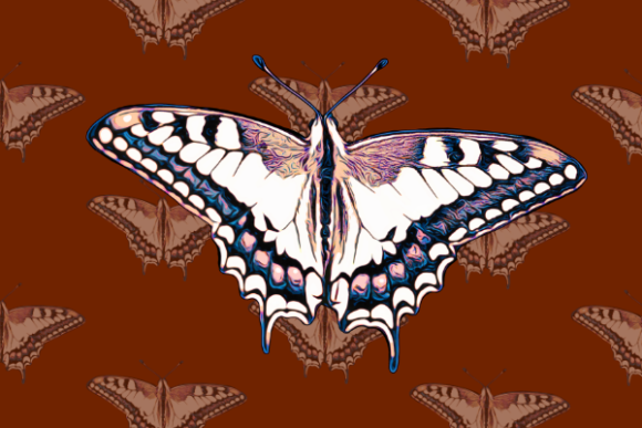 Embrace the Beauty of a Colorful Butterfly with Spread out Wings