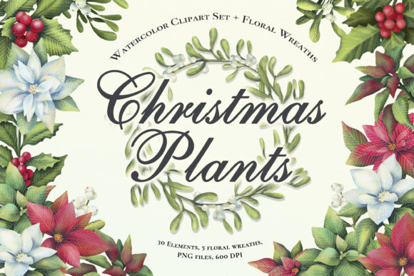Enhance Your Designs with Watercolor Clipart Set Christmas Plants