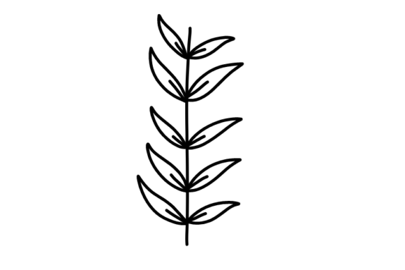 Exploring the Beauty of Botanic Elements