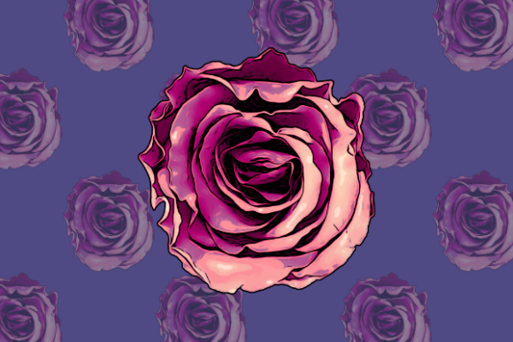 Exploring the Elegance of Red and Pink Rose Flower Illustration
