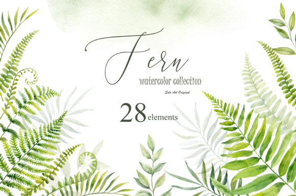 Exploring the Versatility of Fern Leaves Branches in Design