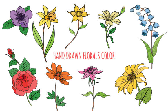 Florals Color Bundle: A Versatile Collection for Your Creative Projects
