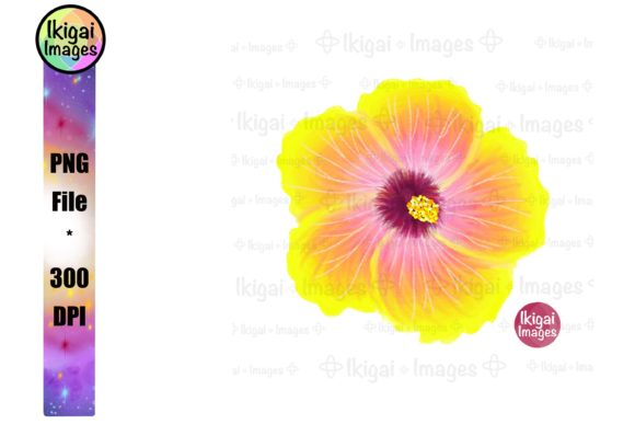 Hibiscus Flower PNG for Sublimation and Crafts