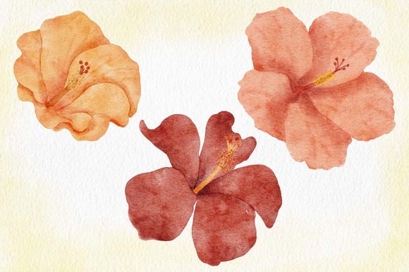 Hibiscus Flower Watercolor Painting: A Versatile Artistic Addition