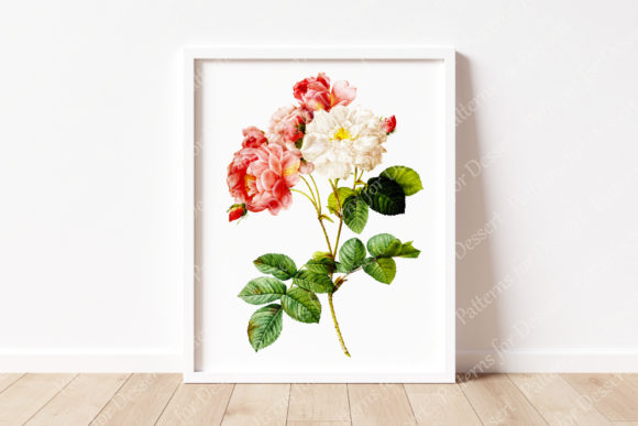 Pink Rose Vintage Flower Clip Art: A Versatile Design Element