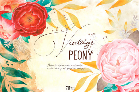 Vintage Peony - Retro Botanical: A Treasure Trove for Creative Minds