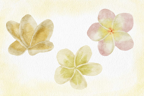 Watercolor Tropical Plumeria Frangipani