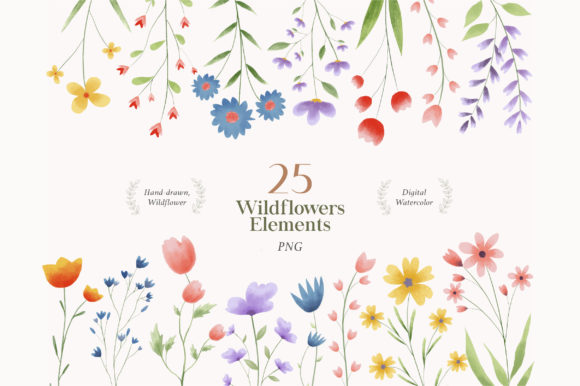 Wild Flower Watercolor PNG: A Versatile Tool for Creative Projects