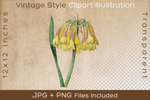 Yellow Flower with Green Leaves: A Versatile Vintage Floral Sketch for Creative Projects